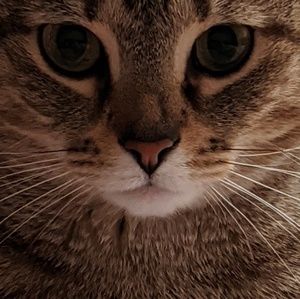 Meet your Posher, Jillian